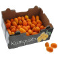 KUMQUAT 2KG